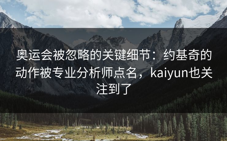 奥运会被忽略的关键细节：约基奇的动作被专业分析师点名，kaiyun也关注到了